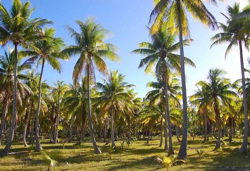 هتل Pension Justine