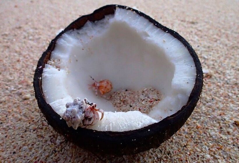 هتل Pension Justine