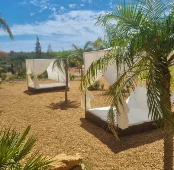 ホテル Cosy Guest House   Villa Das Alfarrobas