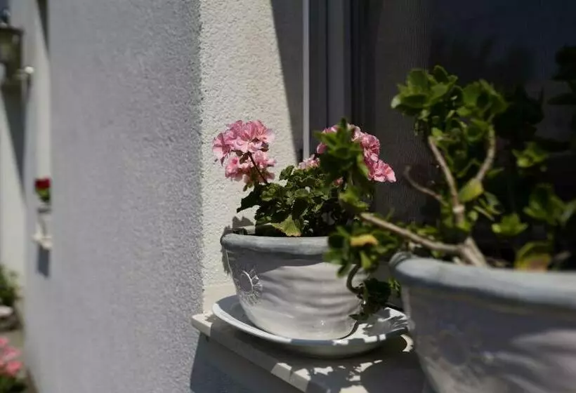 Majatalo Casa Adriana