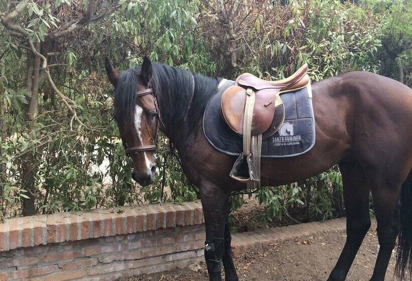 ペンション Room In Bb  Wonderful  Scandinavia B B