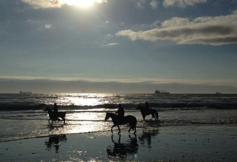 ペンション Room In Bb  Wonderful  Scandinavia B B