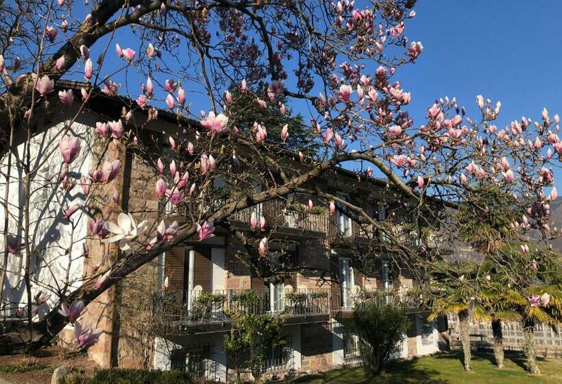 צימר Pension Zeder