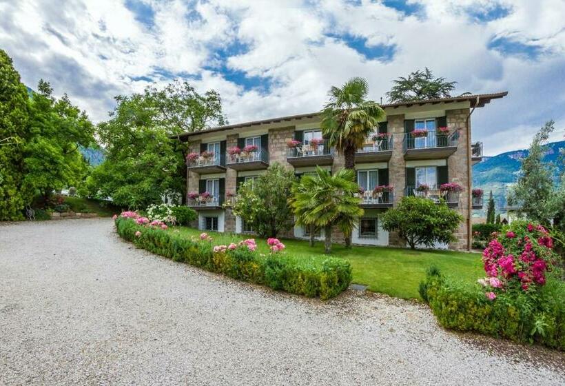 צימר Pension Zeder