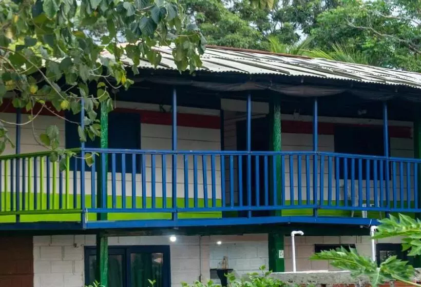 ペンション Hostal Villa Del Coco