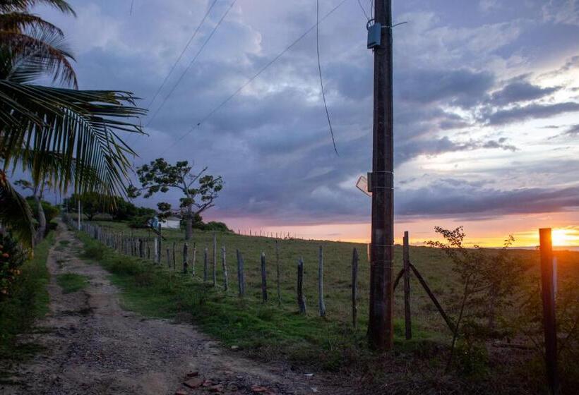 Пансион Hostal Villa Del Coco