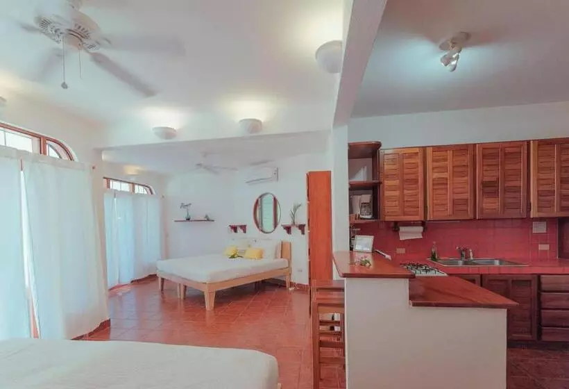 Casas Kismet