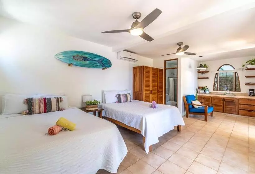 Casas Kismet