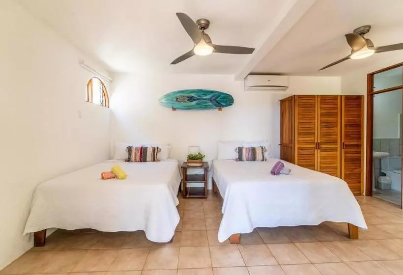 Casas Kismet