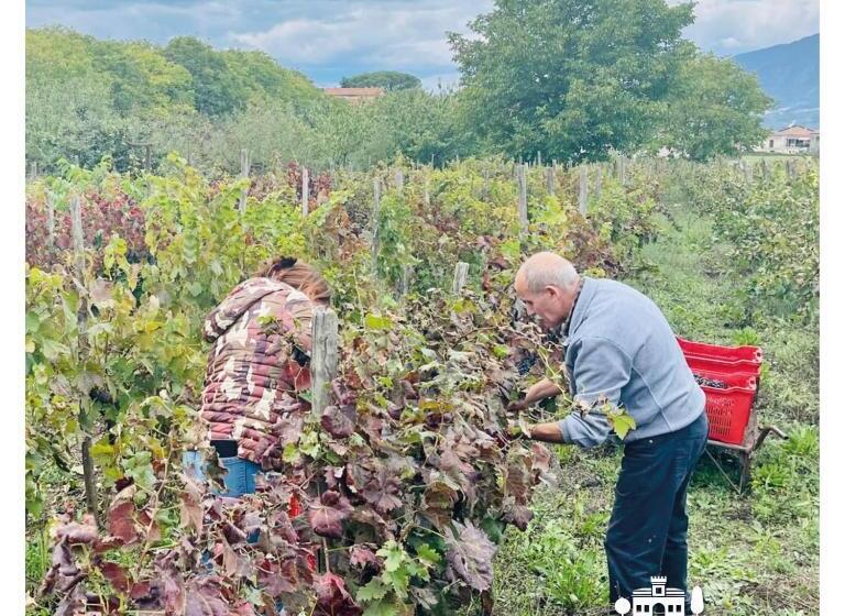 Отель Agriturismo Aia Antica