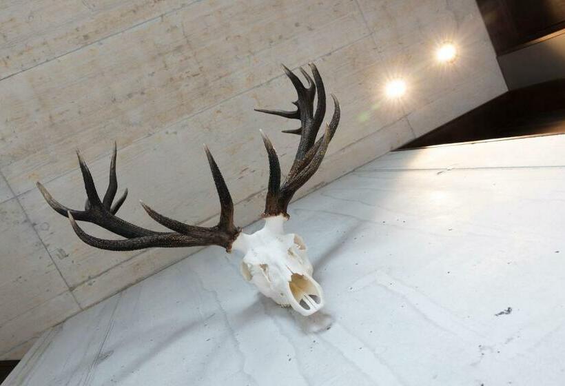 Lifestyle B&b By Phillip Sigwart