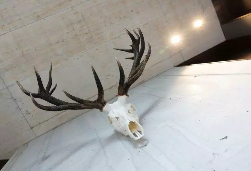 Lifestyle B&b By Phillip Sigwart