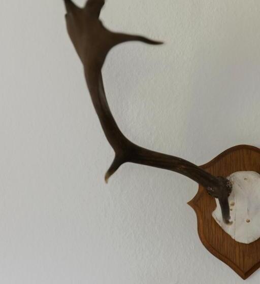 فندق Bergische Schweiz