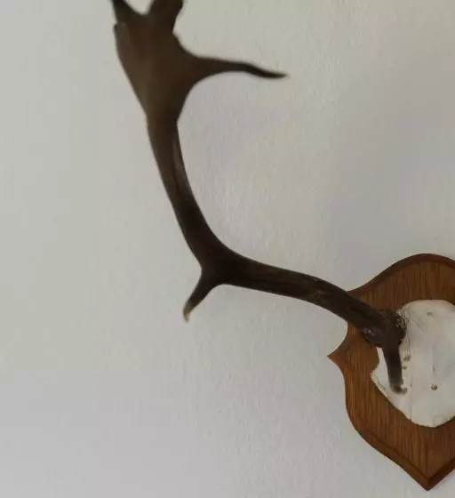 Hotelli Bergische Schweiz