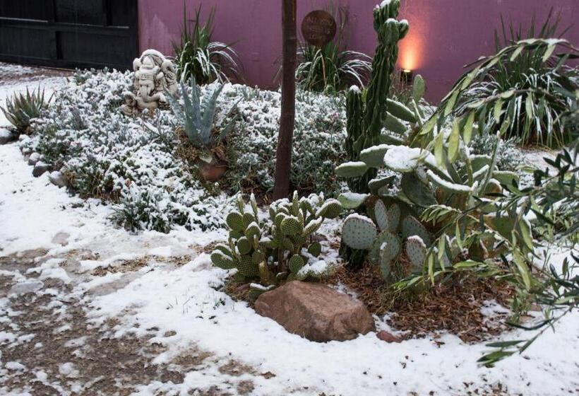 Bed & Breakfast Refugio Padma