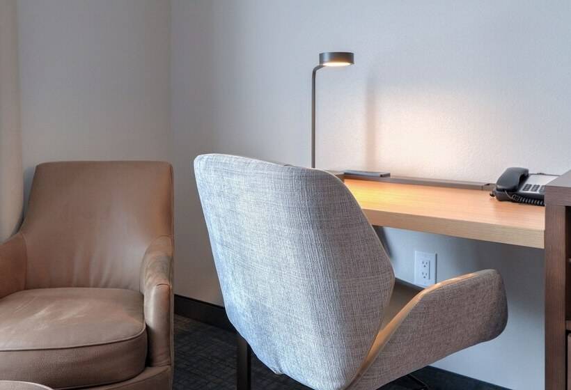 酒店 Residence Inn By Marriott Pigeon Forge