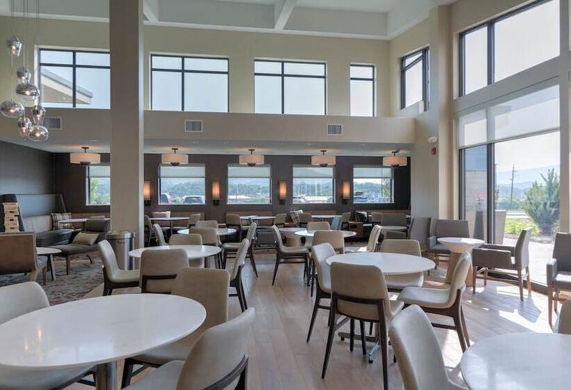 酒店 Residence Inn By Marriott Pigeon Forge