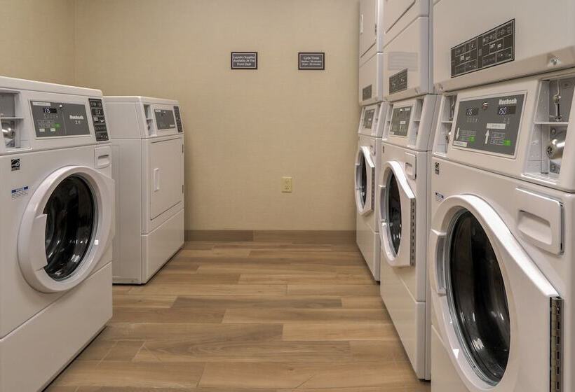 酒店 Residence Inn By Marriott Pigeon Forge