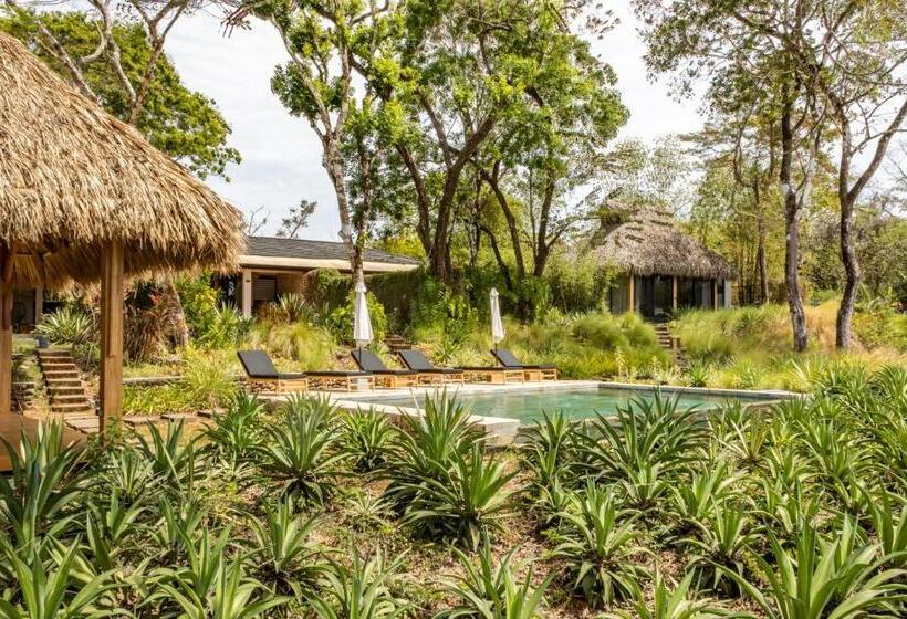 Thea Resort & Retreats   Santa Teresa