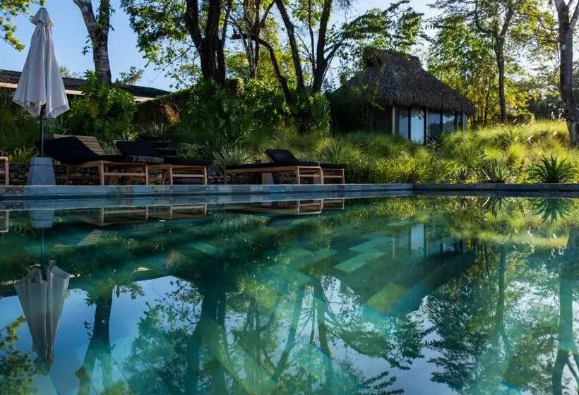 Thea Resort & Retreats   Santa Teresa