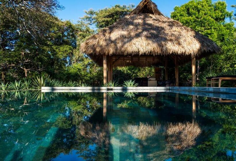 Thea Resort & Retreats   Santa Teresa