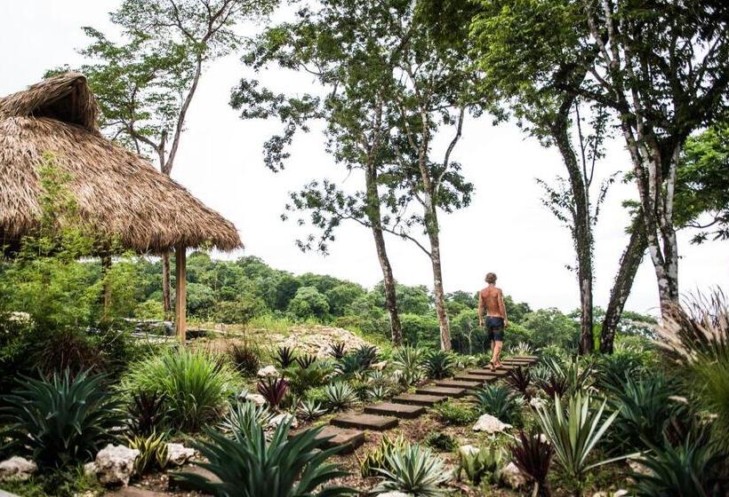 Thea Resort & Retreats   Santa Teresa