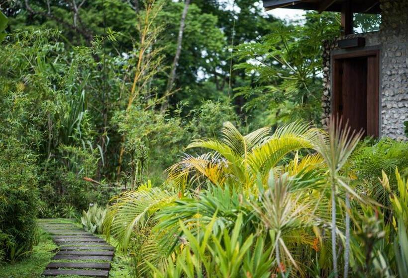 Thea Resort & Retreats   Santa Teresa