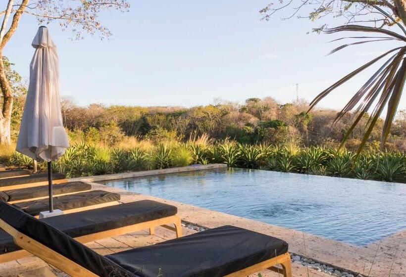 Thea Resort & Retreats   Santa Teresa