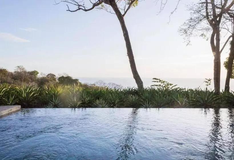 Thea Resort & Retreats   Santa Teresa