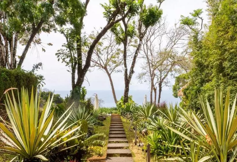 Thea Resort & Retreats   Santa Teresa