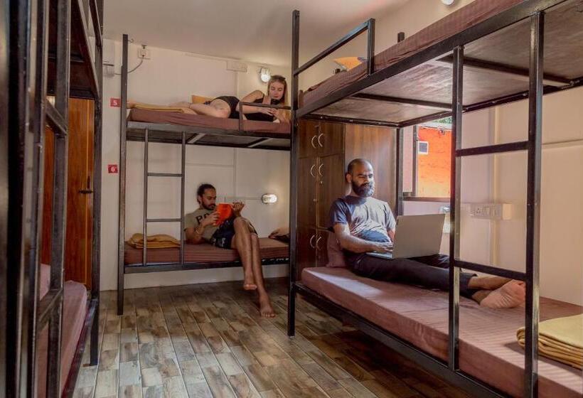 הוסטל Bunknbrew