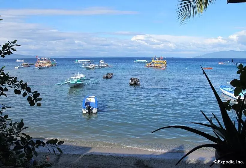 Tropicana Castle Dive Resort Powered By Cocotel