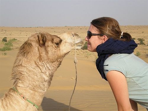 ホテル Deep Mahal & Safari