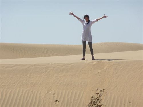 ホテル Deep Mahal & Safari