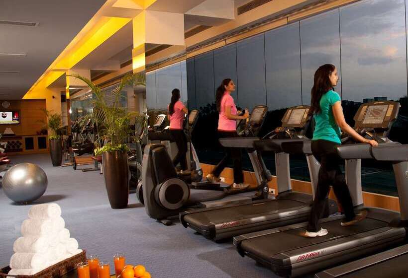 Radisson Blu Hotel, Nagpur