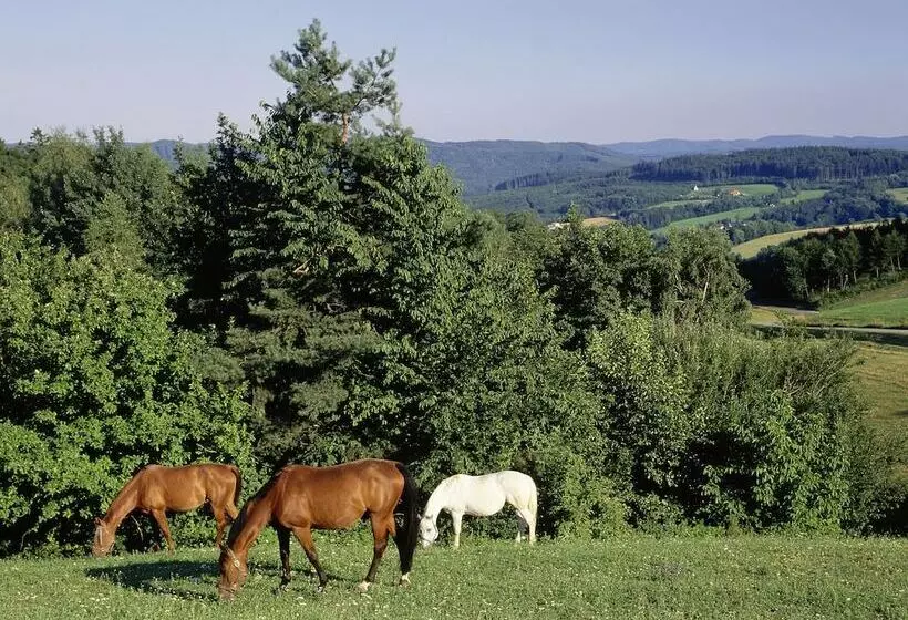 ホテル Wienerwaldhof Rieger