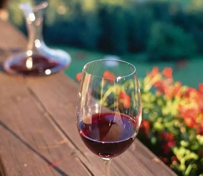 ホテル Wienerwaldhof Rieger