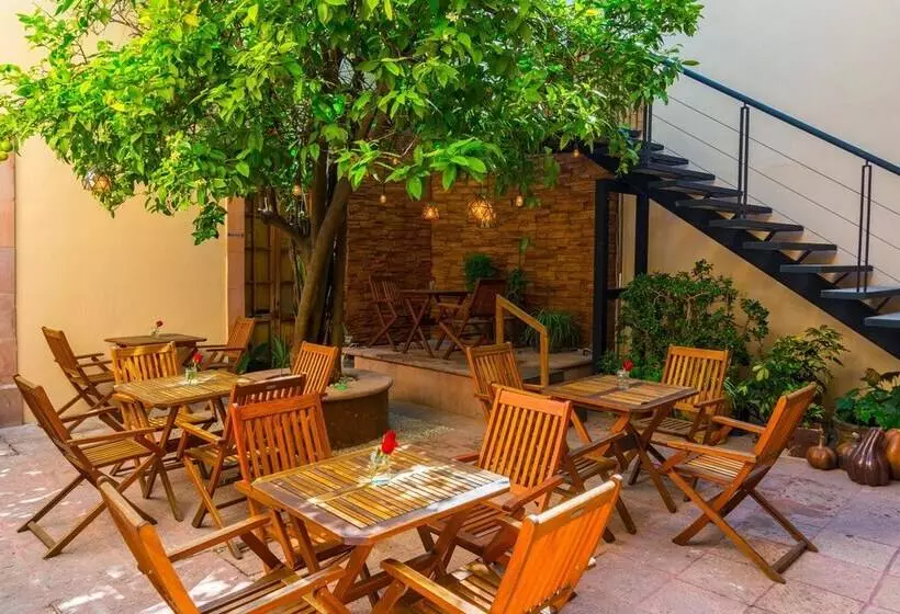 La Casa Del Naranjo Hotel Boutique