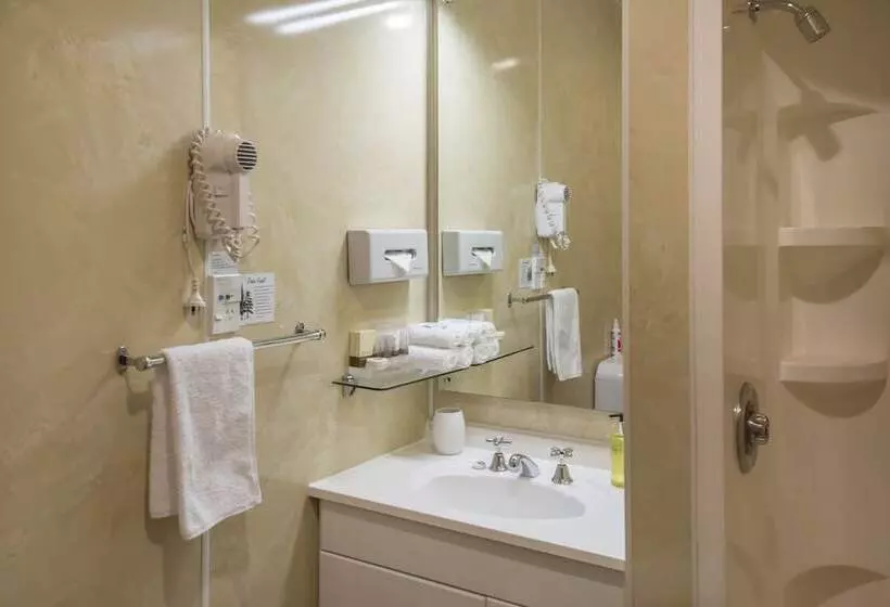 モーテル Amross Court Motor Lodge