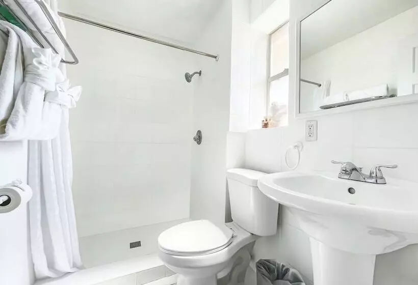 モーテル Hollywood Beach Hotels