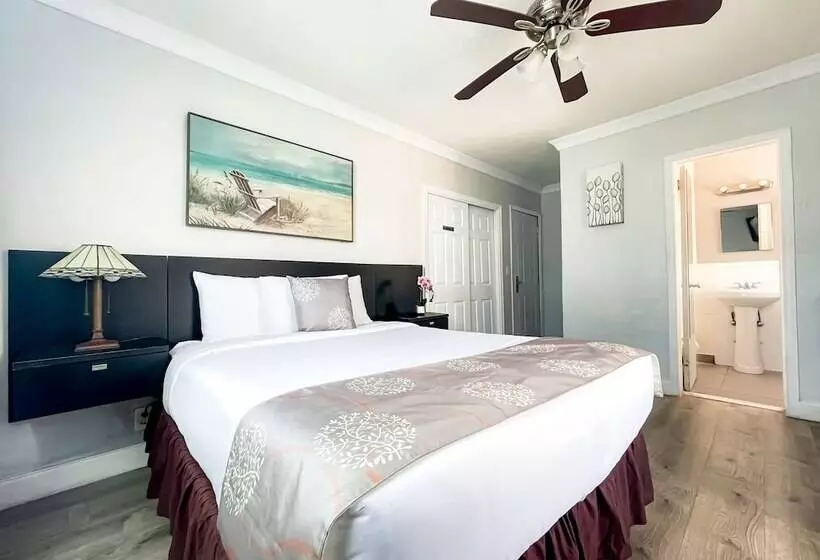 モーテル Hollywood Beach Hotels