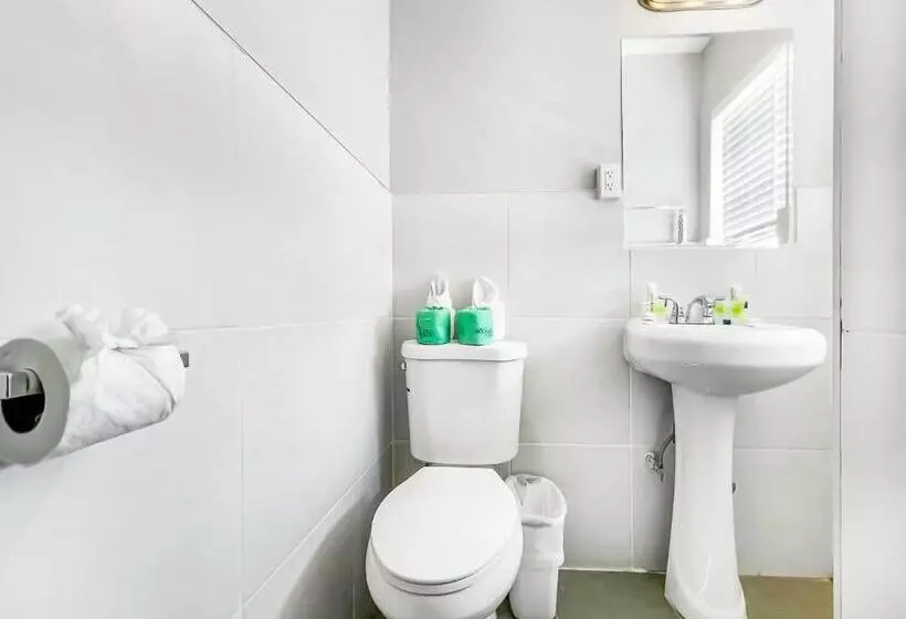 モーテル Hollywood Beach Hotels