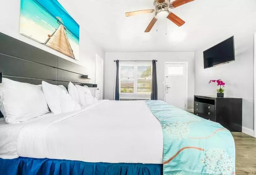モーテル Hollywood Beach Hotels