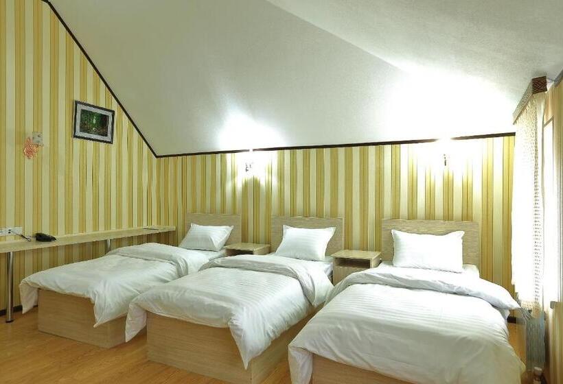 هاستل Seven Seasons