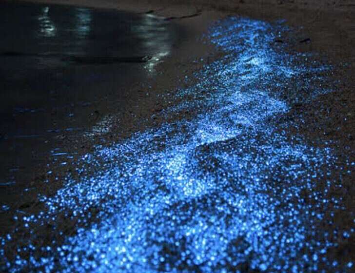 هتل Brisa Del Mar