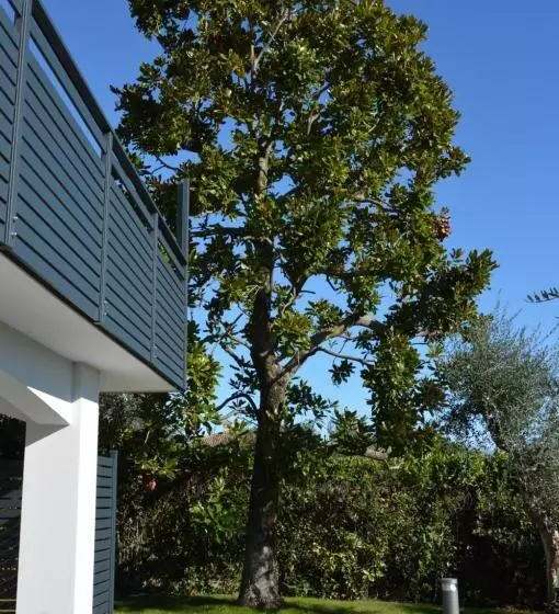 B&b Fior Di Magnolia