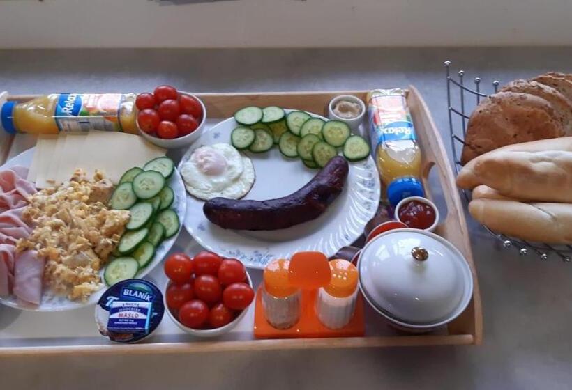 Bed and Breakfast Ubytováni U Páji