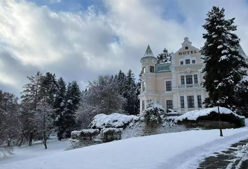 Hotelli Chateau Cihelny
