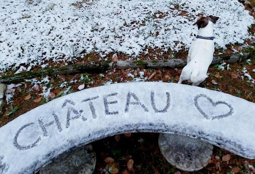 酒店 Chateau Cihelny