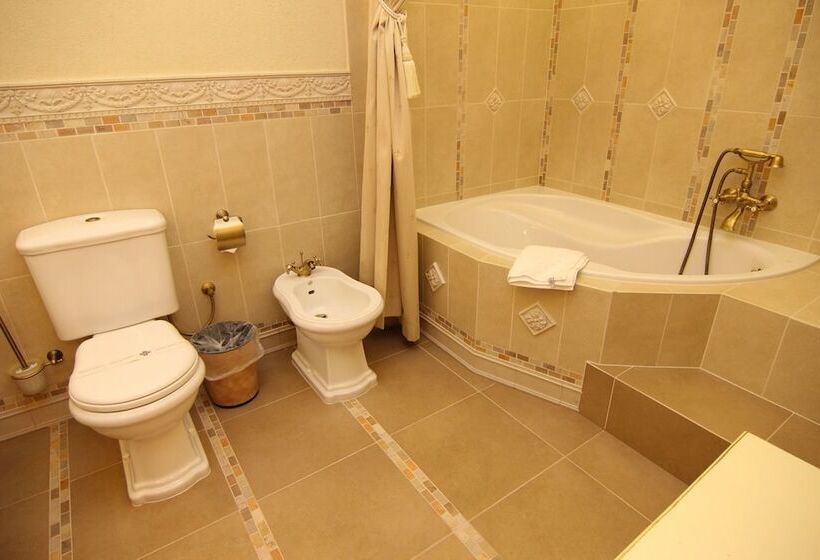 酒店 Chateau Cihelny